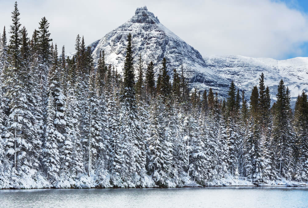 Snow-covered evergreen trees next to a lake, in front of a pyramid-shaped mountain covered in light snow.