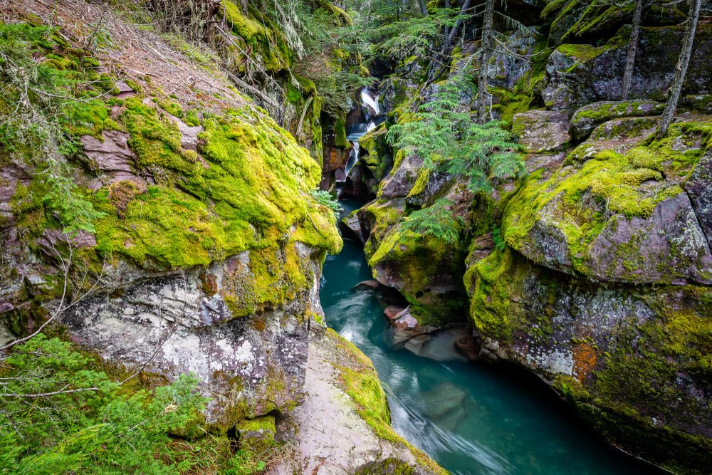 The brilliant turquoise Avalanche Creek, surrounded by mossy boulders and cedar trees on this easy Glacier National Park hike.