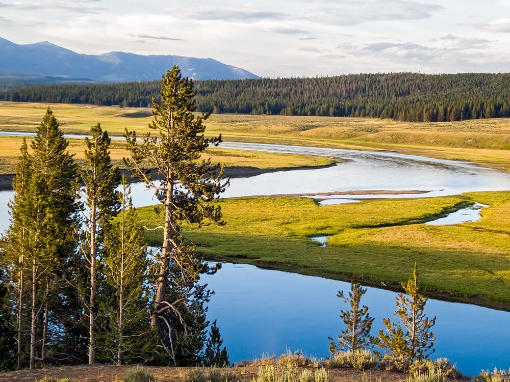 the yellowstone river in yellowstone