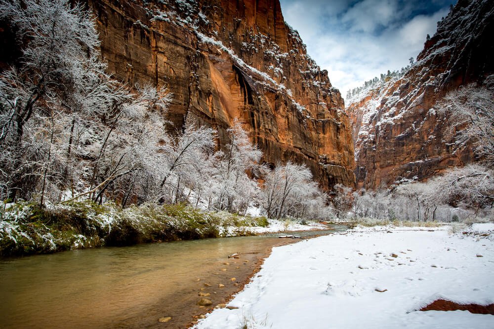 Snow on the valley floor of Zion National Park, next to a small river, with snow-covered trees and red cliff rock faces showing a winter Zion landscape