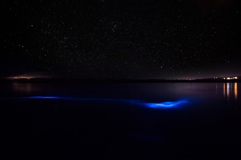 streaks of electric blue in the dark water at night with lots of stars out