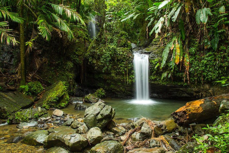 a waterfall plunging into a pool in the rainforest of puerto rico called el yunque, a must on your 7 day puerto rico itinerary