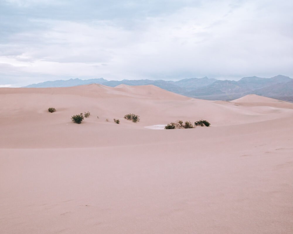 This image has an empty alt attribute; its file name is Death-Valley-USA-Spring-Collab-Live-Love-Run-Travel.jpg