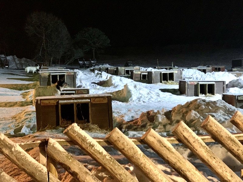 View of the dog sledding homes at the tromso husky farm 