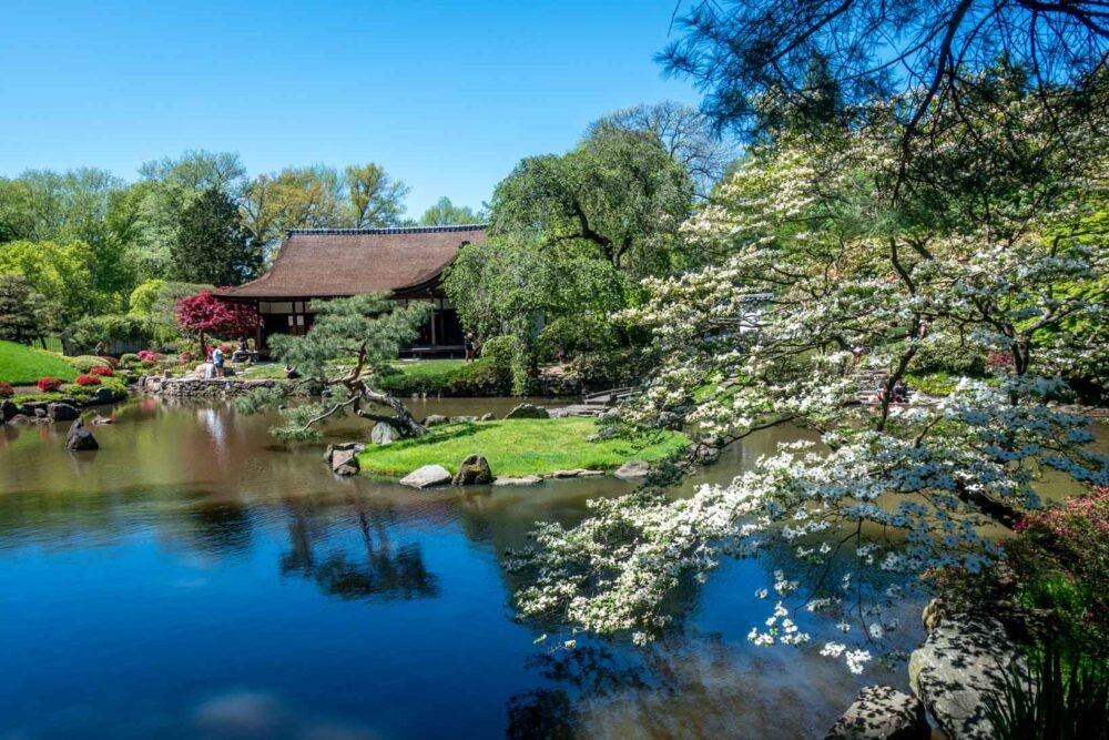 This image has an empty alt attribute; its file name is Shofuso-Japanese-House-Garden-pond-Philadelphia.jpg