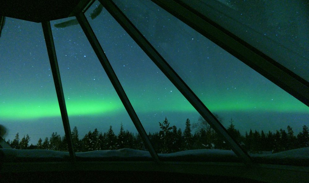 A view of the aurora as you would see it if you were looking through the glass window ceiling of a lavvu. There is a line of green above the trees just above the horizon.