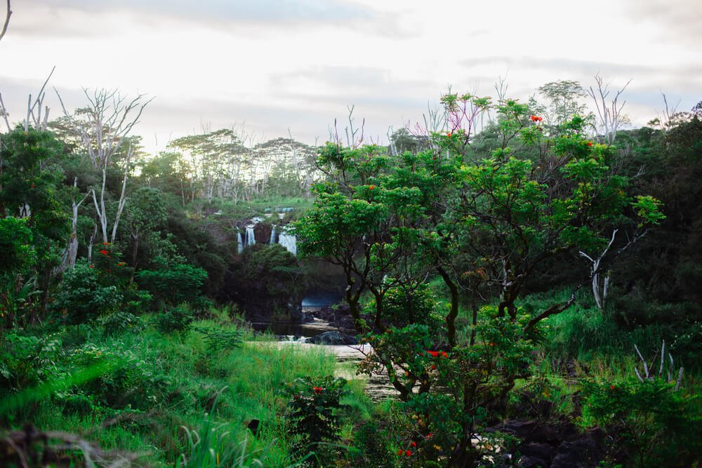 Sunset over the park with the waterfall and a lot of greenery and lava rocks. Boiling pots on the Big Island. Tropical forest.