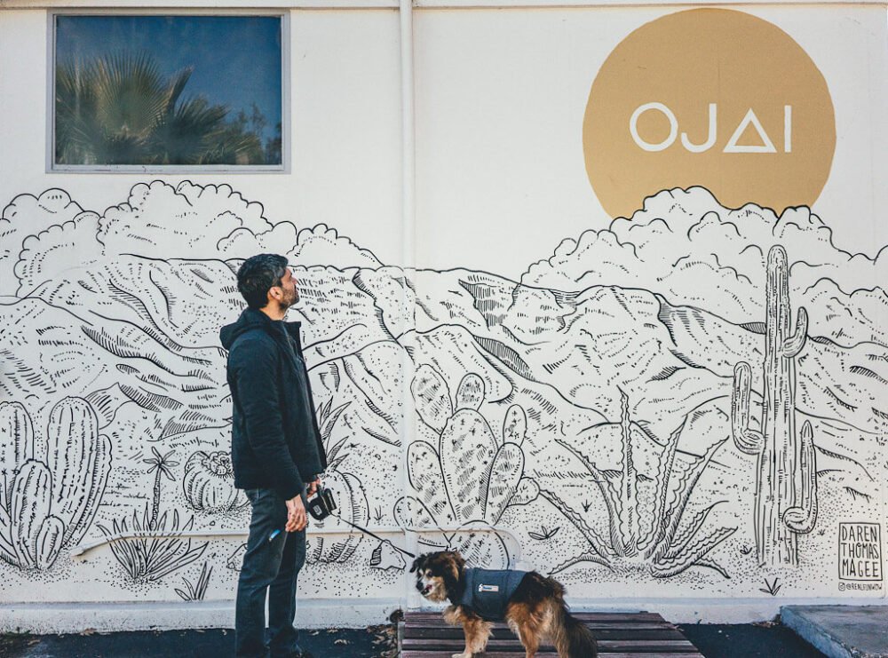 This image has an empty alt attribute; its file name is ojaimural.jpg