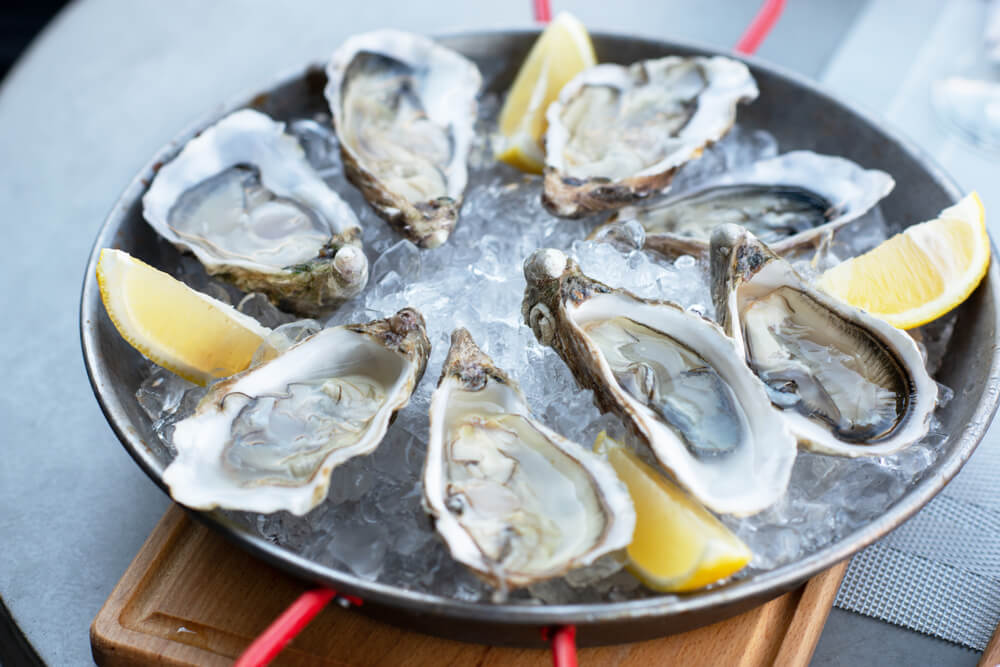 Plate of oysters in SLC