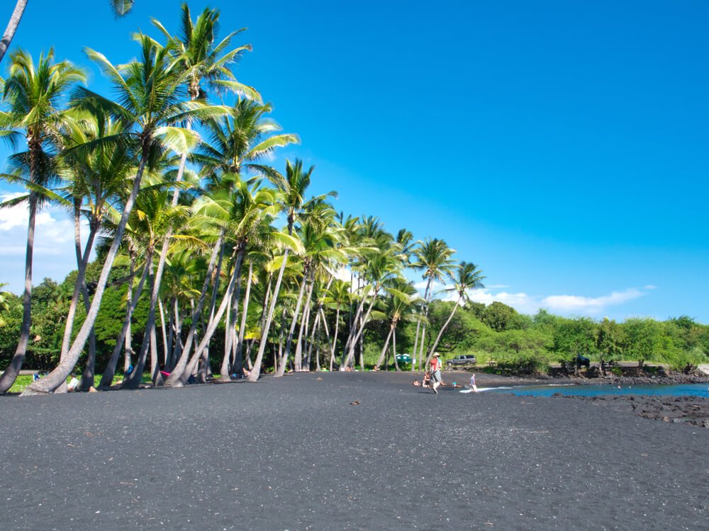 palm trees against black sand on a beach in hawaii big island near hilo
