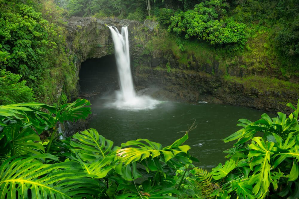 the waterfall of rainbow falls in hawaii surrounded by lush green foliage