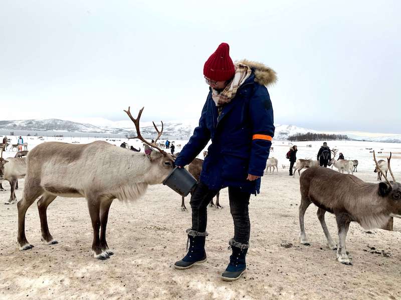 Allison feeding reindeer at the Sami reindeer camp