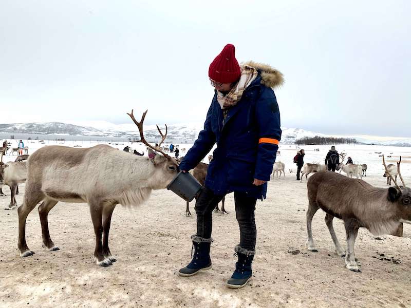 Allison feeding reindeer at the Sami reindeer camp, wearing a red hat and blue jacket, with a reindeer putting his head in the bucket to eat