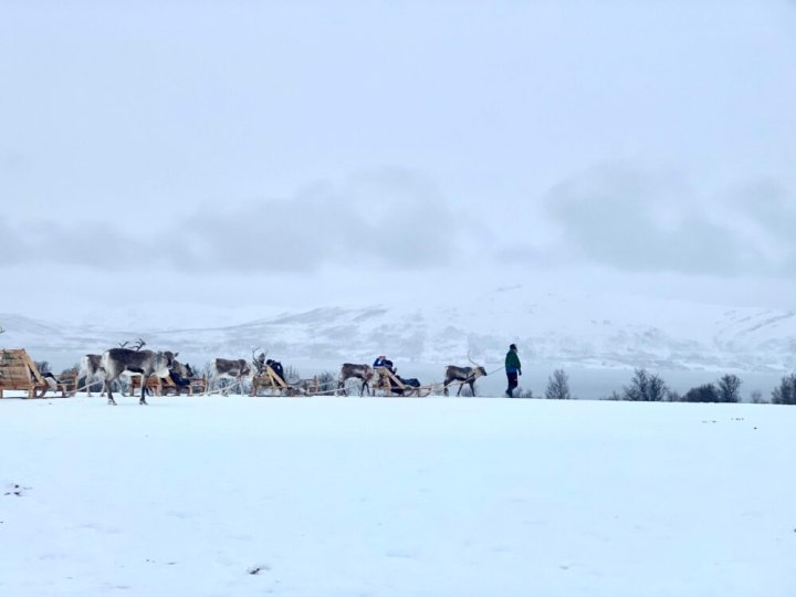 Visiting Tromsø in February: My Honest Thoughts & Experience - Eternal ...