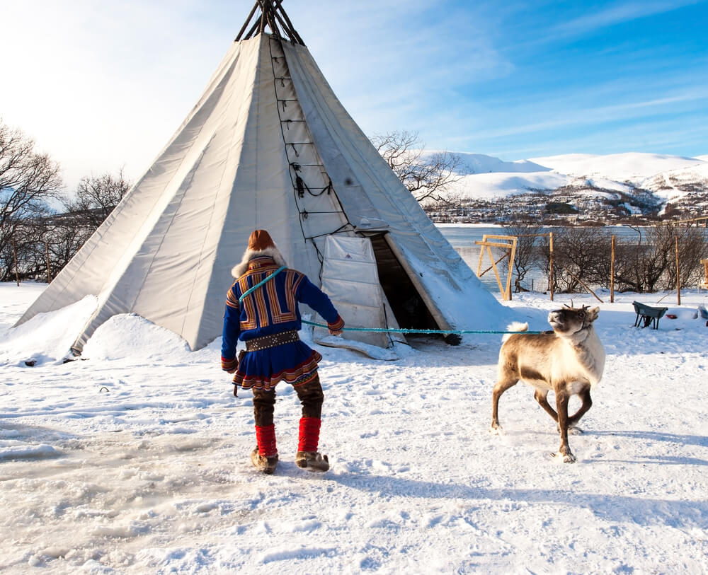 a sami man in traditional costume and a reindeer on a lasso with a sami tent (lavvu) in the back