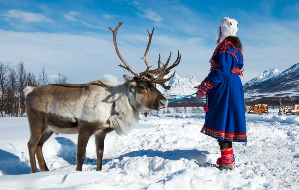 a sami woman in traditional blue dress with red detailing and embroidery, handling a reindeer in the arctic.