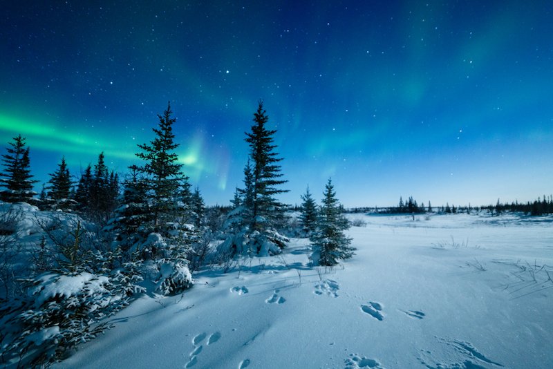 Snowshoe tracks left in the snow with a view of the green light of aurora in the distance, on a cold winter night in Norway.