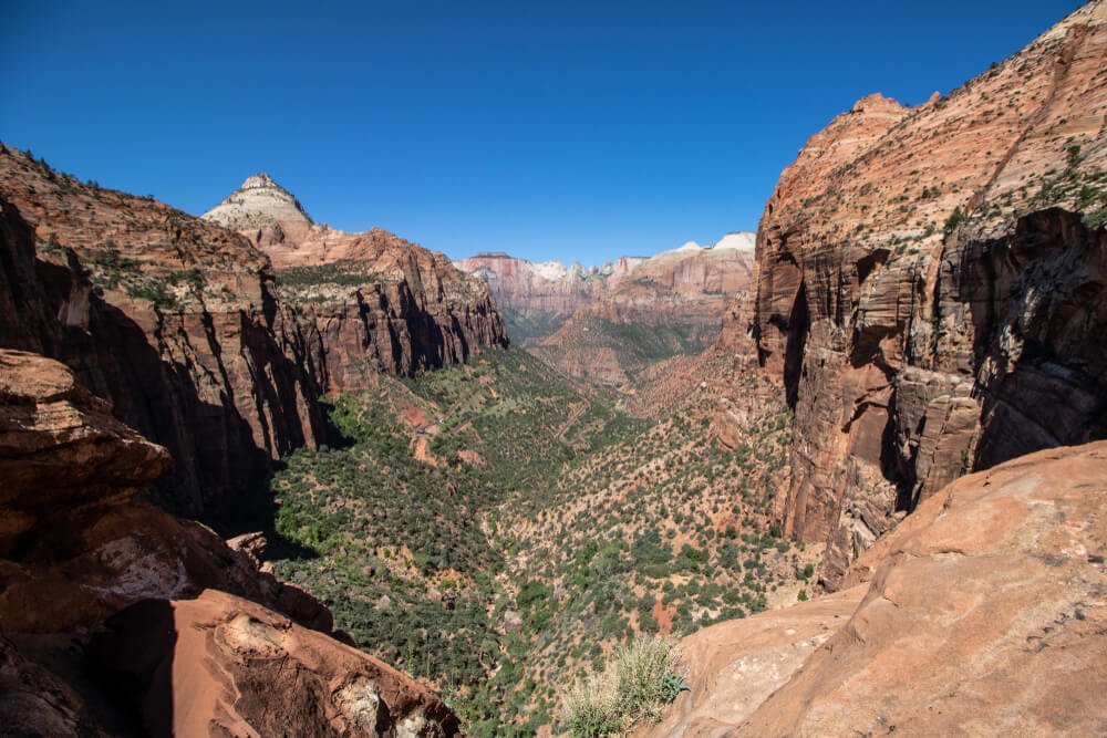 the red rocks of zion canyon and hiking trails