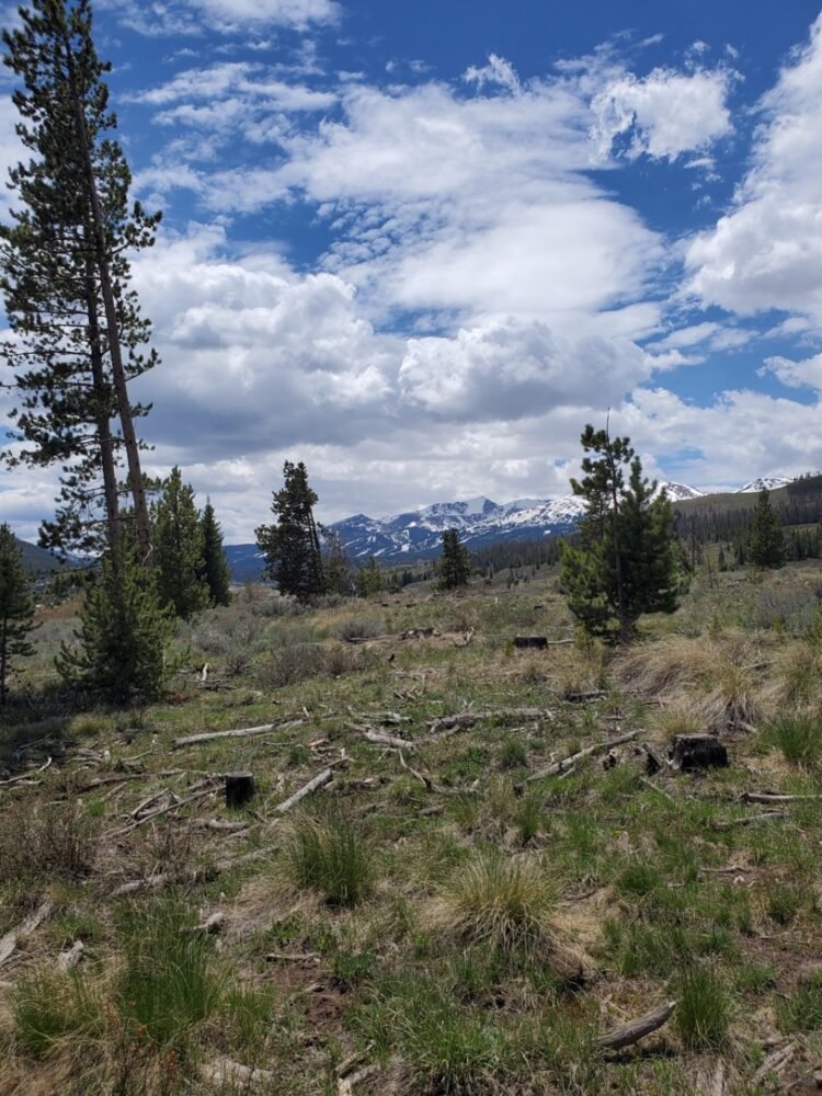 A partly cloudy day hiking in Breckenridge with trees and mountains capped with snow in the distance