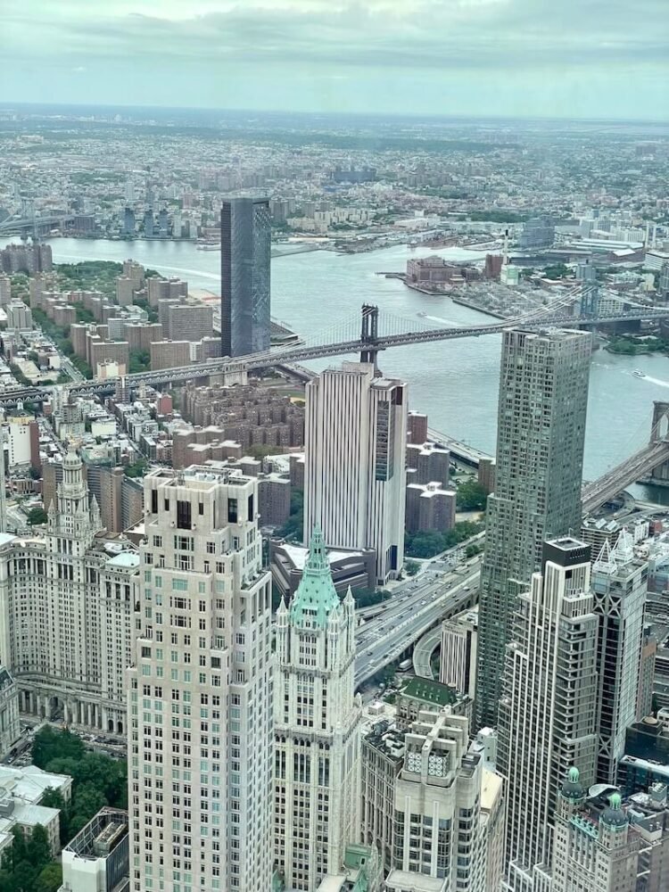 View of the Brooklyn and Manhattan bridges from One World