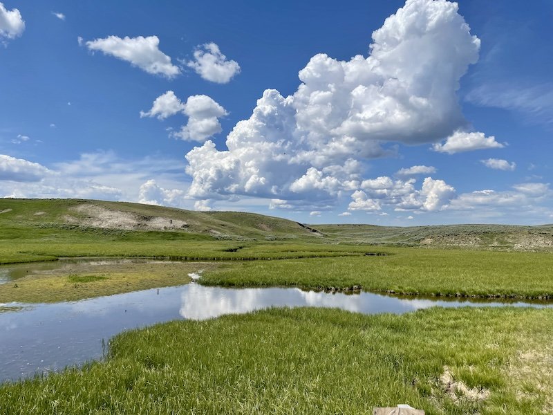 water and the hayden valley landscape