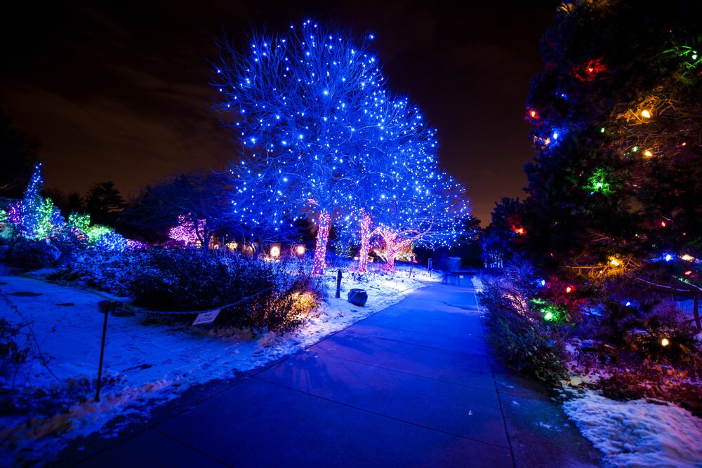 Colorful lights in trees and bushes in the Denver Botanical Garden, with snow on the ground, celebrating Christmas in Denver