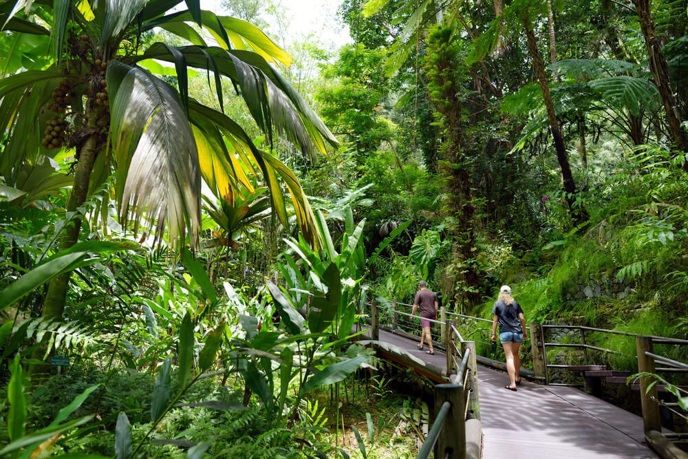 Tourist admiring lush tropical vegetation of the Hawaii Tropical Botanical Garden of Big Island of Hawaii