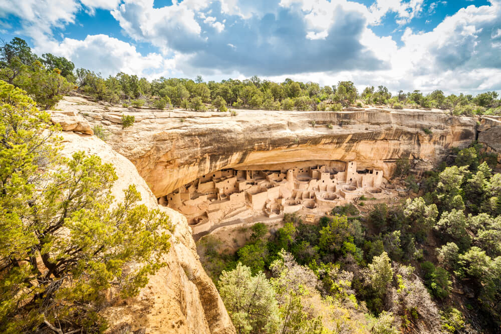 Stone dwellings carved into a cliffside and surrounded by trees in Mesa Verde National Park