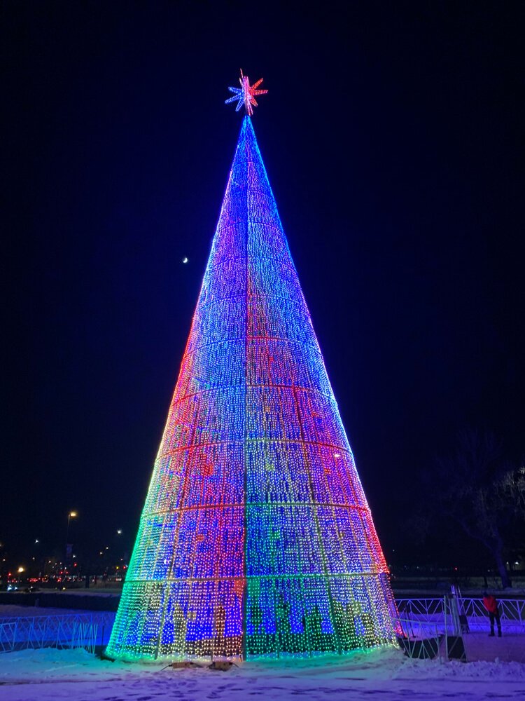 colorful rainbow mile high tree lit up at night, with snow on the ground