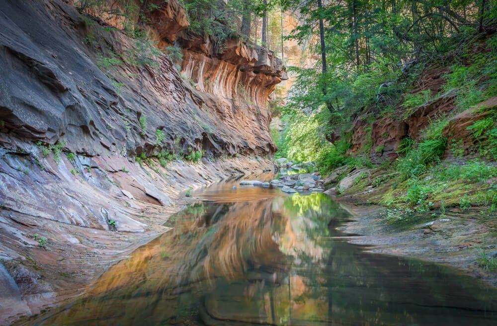 A trail through the Oak Creek Canyon in Arizona with cliffs and water and greenery