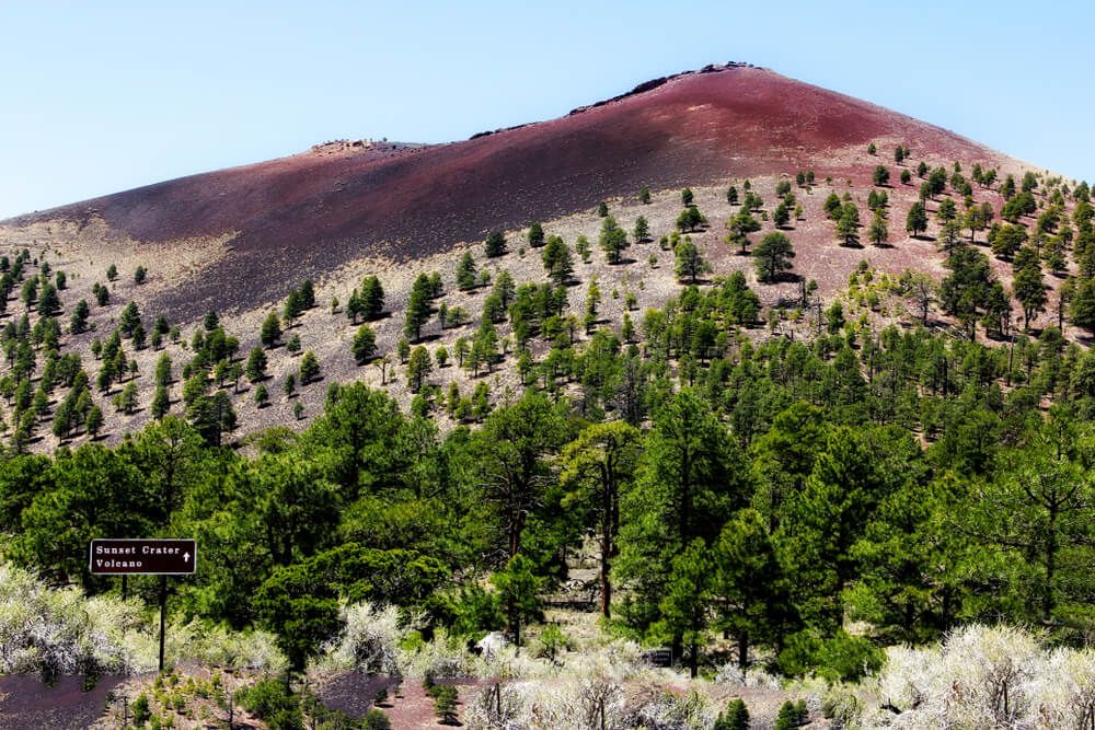 Colorful volcanic hill near sunset crater in Flagstaff Arizona with lots of trees