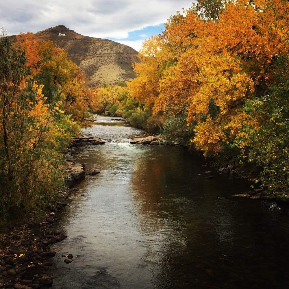 Landscape in the fall at Clear Creek with fall foliage and a mountain in the distance with the letter M