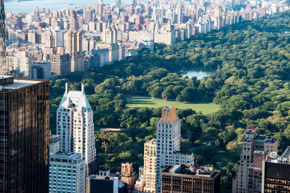 Close up zoomed in view of Central Park against skyscrapers of new york city