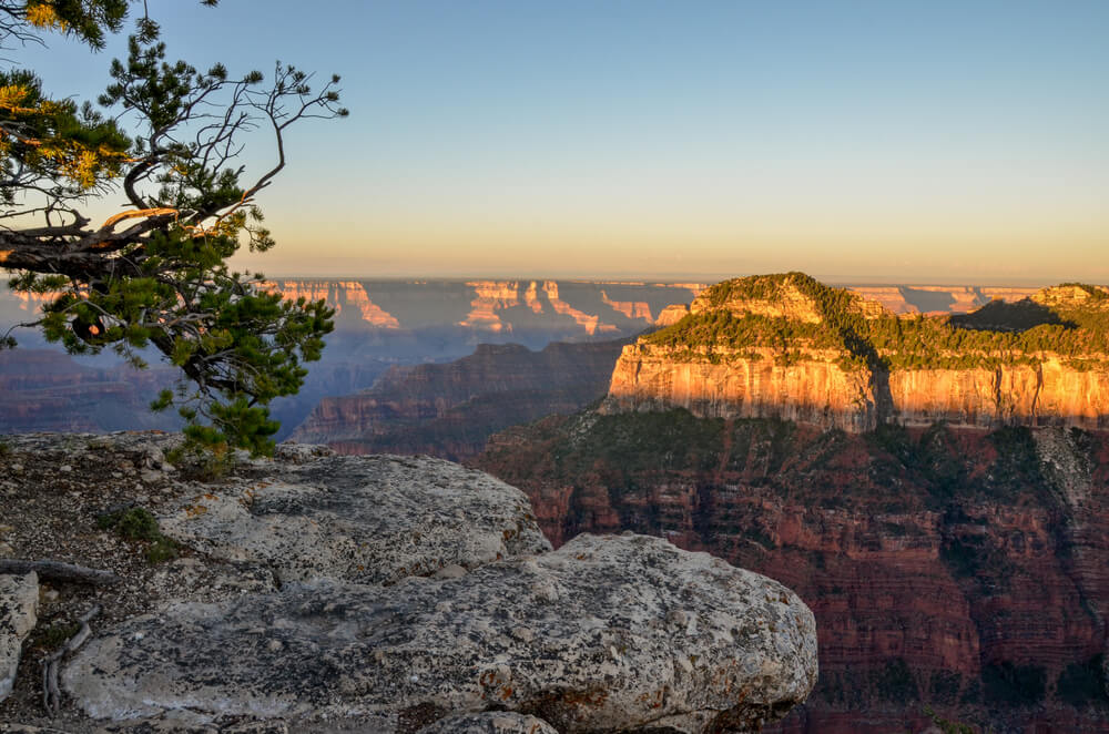 Rocks and trees at sunrise at sun rising over Grand Canyon panoramic view from Bright Angel Point, North Rim, Arizona
