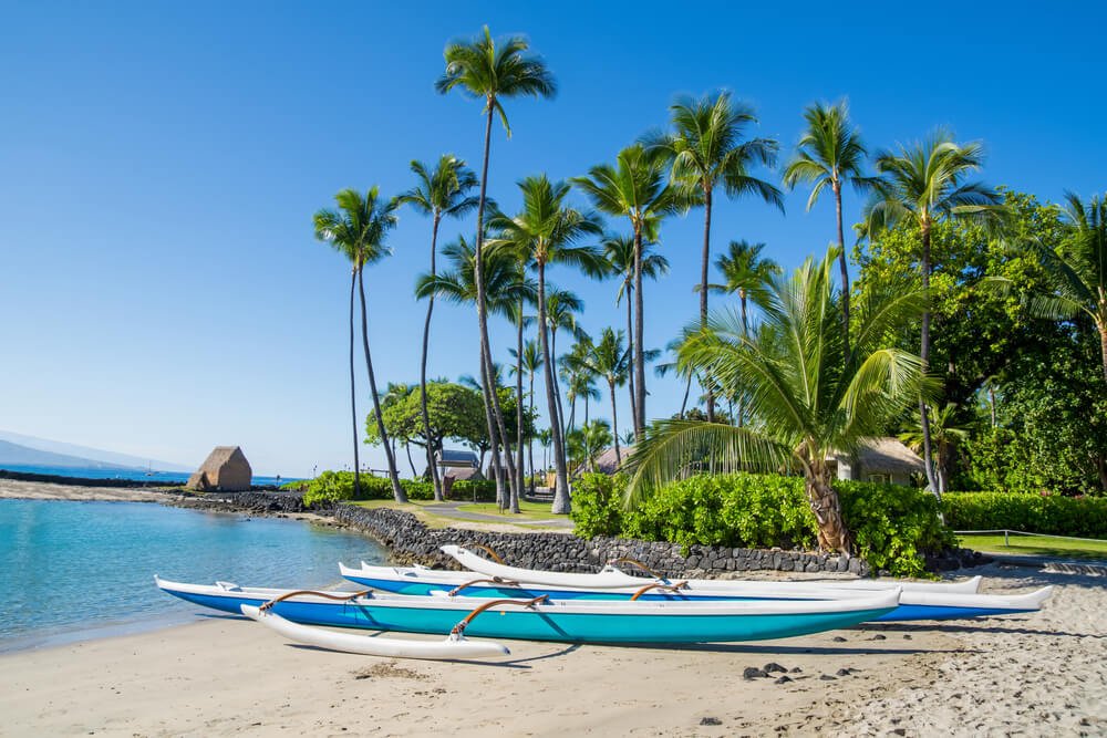 a hawaiian canoe on the beach with palm trees