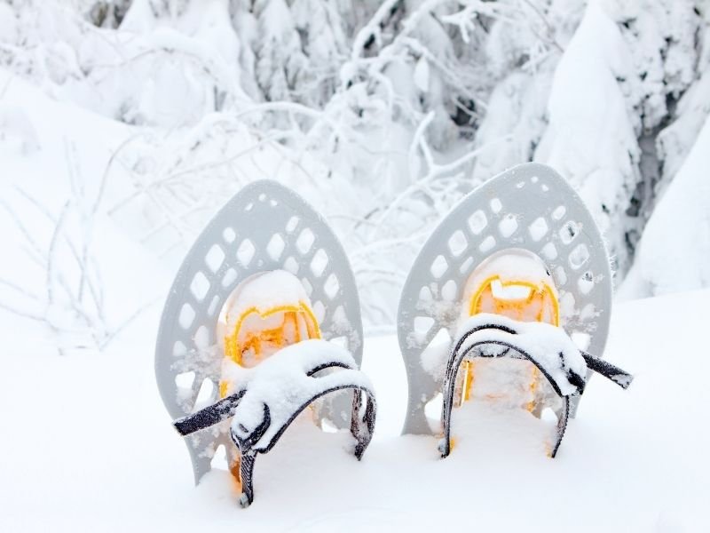Snowshoes for hiking in Black Canyon of the Gunnison in winter