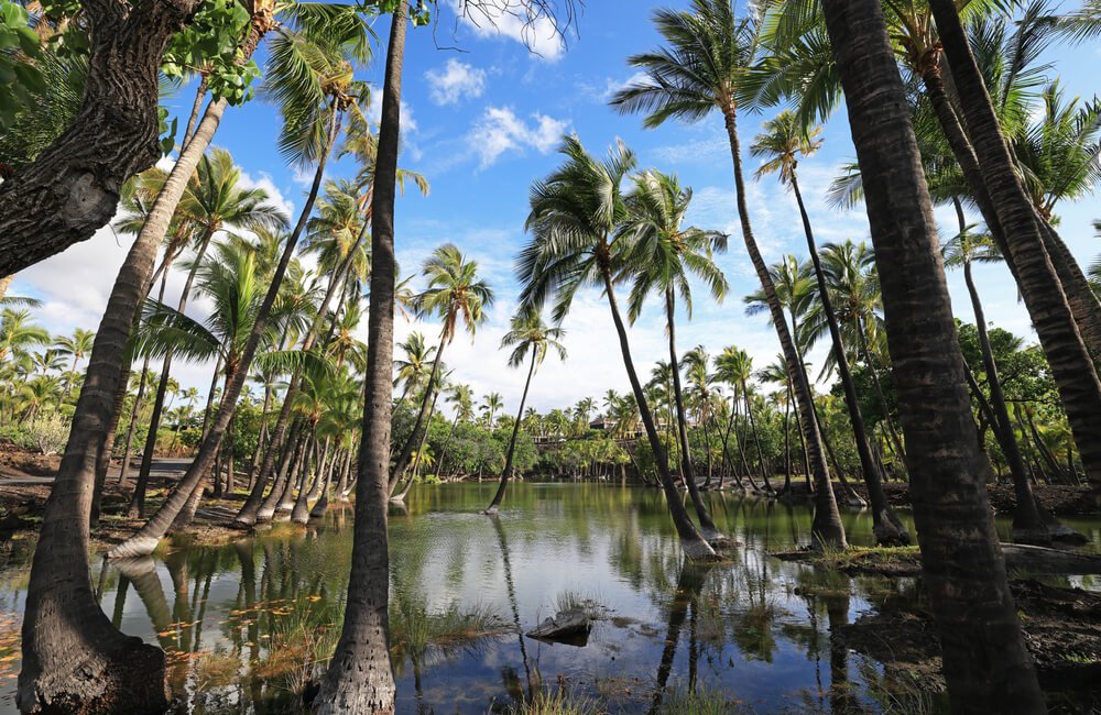 fish Pond in Kalahuipuaa Historical Park on the Big Island of Hawaii