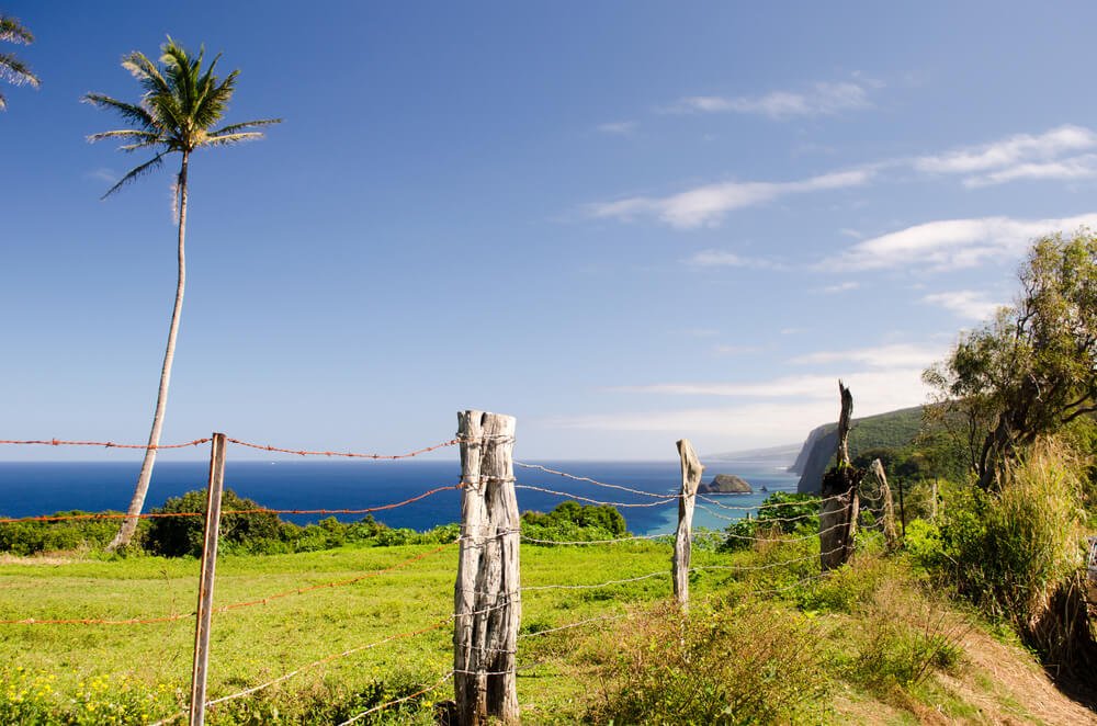 view from the area around hawi on the coast of hawaii