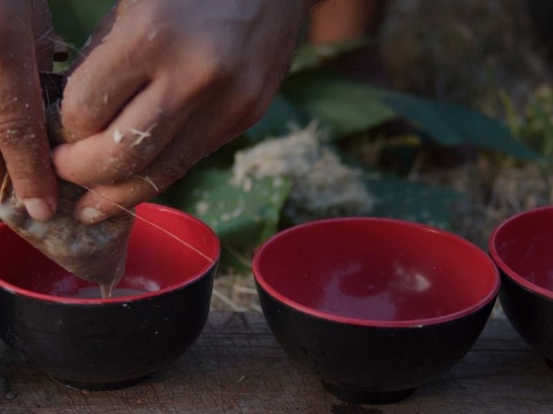 brewing kava tea in bowls