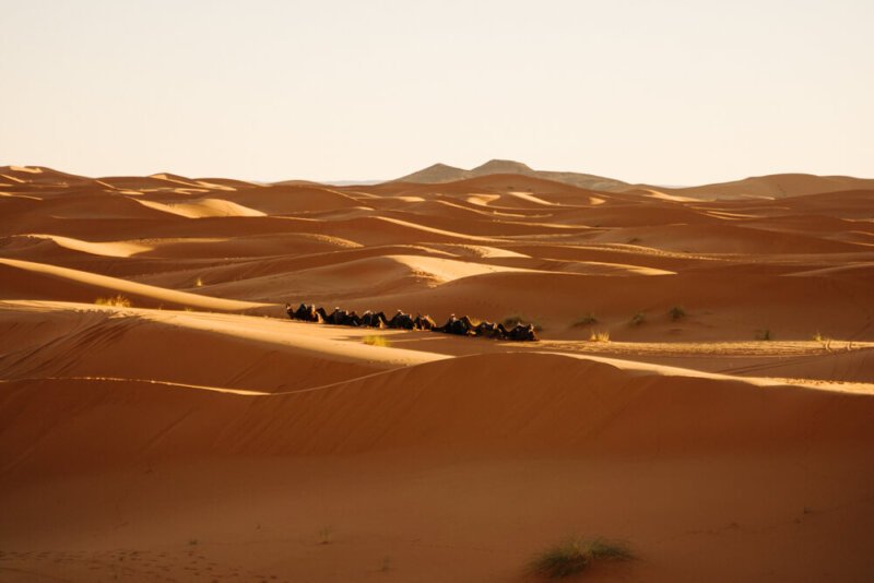 15 Things I Wish I Knew Before My Sahara Desert Tour (+ Top Tour Picks)