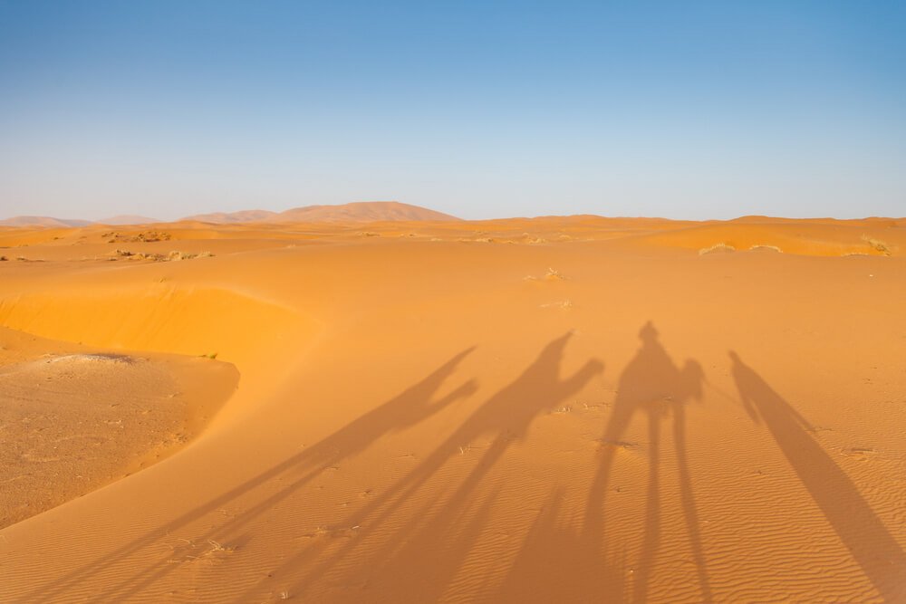 Camel shadow on the sand dune in Sahara Desert, Merzouga, Morocco