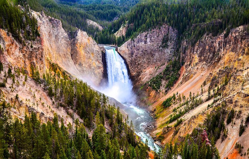 Photo of the waterfall at Grand Canyon of the Yellowstone (Lower Falls) surrounded by canyon and trees