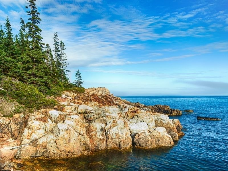 rocky shoreline at acadia national park in maine