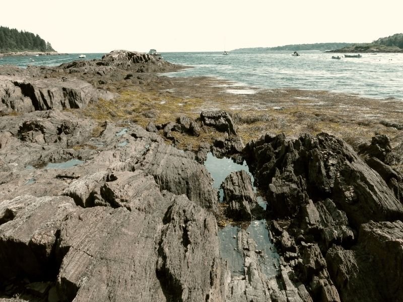 rocks on the ocean on orrs island