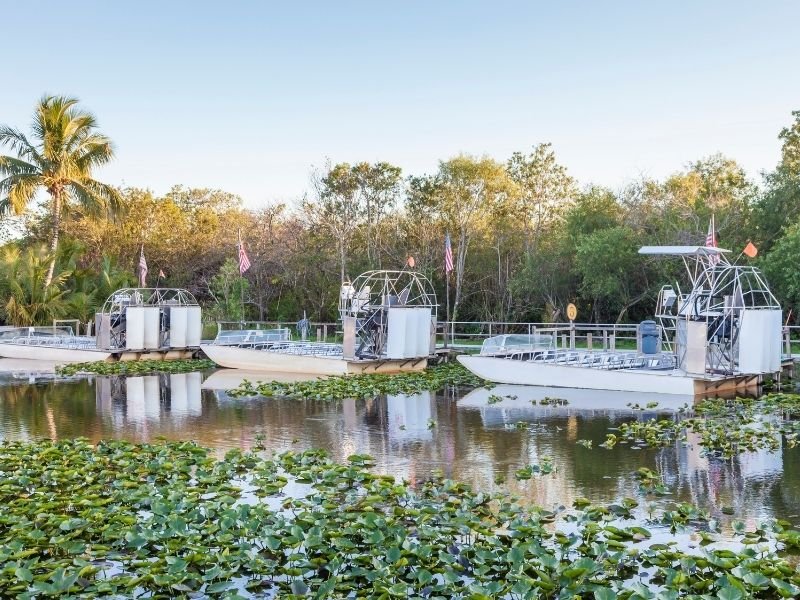 airboats in the everglades national park