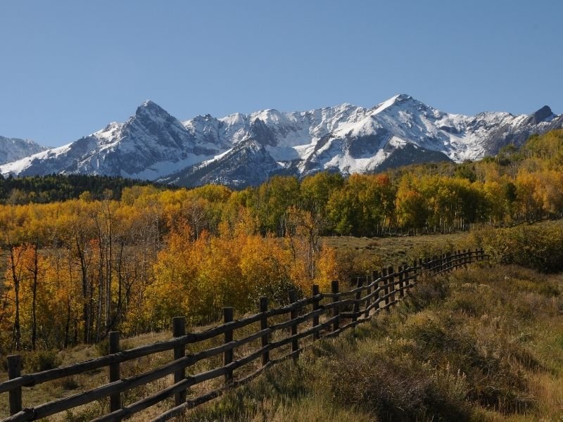 fence with lots of orange and yellow trees in front of snow-capped mountain peaks in colorado in the fall