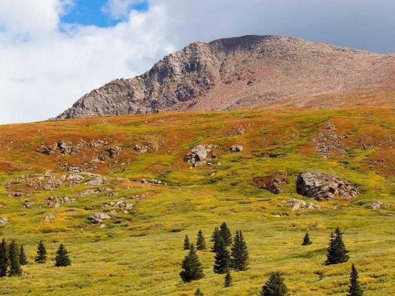 the beautiful orange and green plains of the arapaho forest in autumn