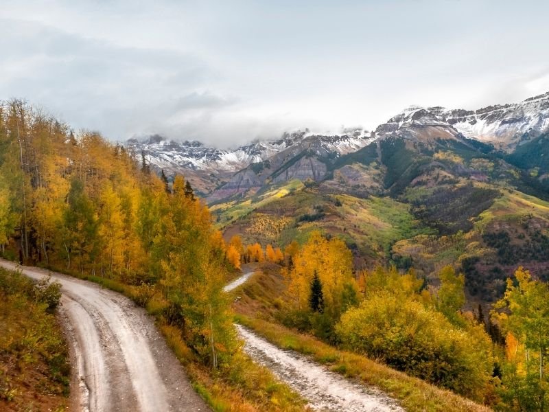 orange and yellow trees along an unpaved road in telluride colorado in the fall