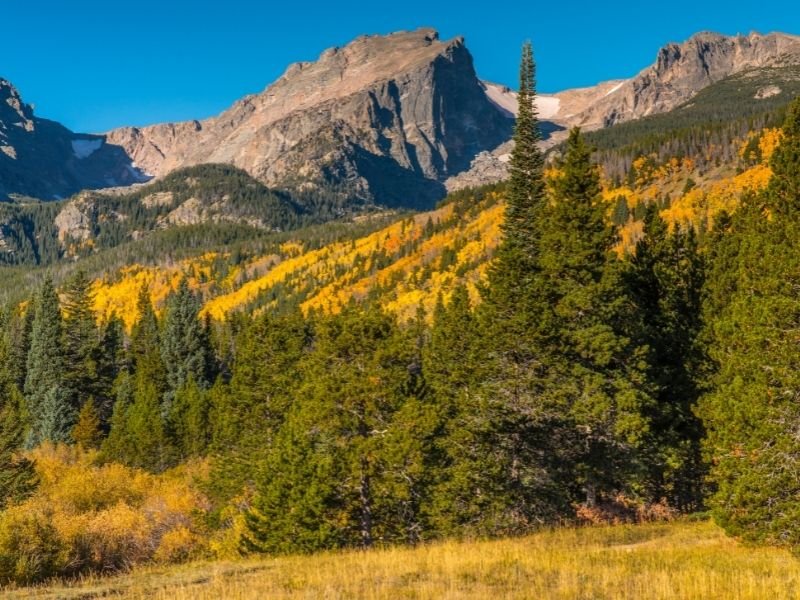 yellow trees in the distance at rocky mountain national park with mountains and small green trees