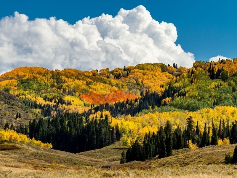 a large cumulus cloud over orange, yellow and green fall trees in steamboat springs colorado